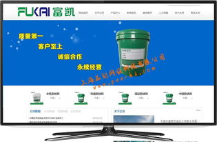 松江長期企業(yè)網(wǎng)站服務(wù) 專業(yè)設(shè)計、無憂維護(hù)與托管解決方案